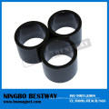 Black Epoxy Coated Neodymium Magnets